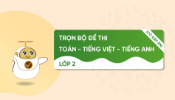 VitanEdu