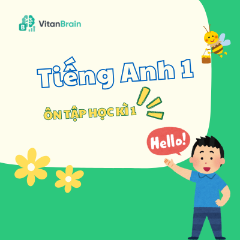 VitanEdu