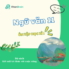 VitanEdu