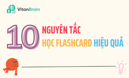 10 nguyên tắc học flashcard cùng VitanBrain