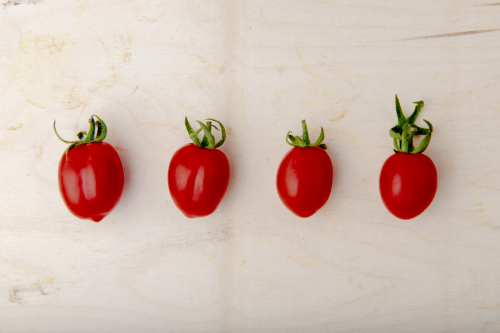 POMODORO technique: Bí quyết học tập và làm việc hiệu quả trong 25 phút