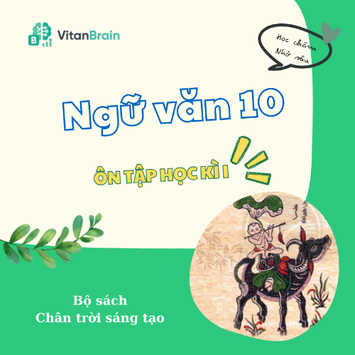 VitanEdu