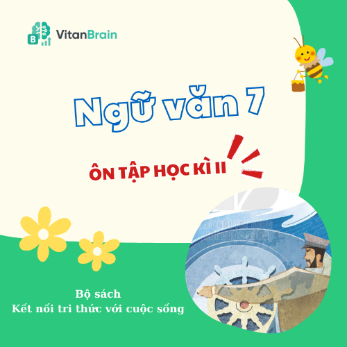 VitanEdu
