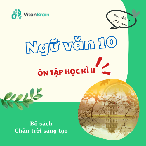 VitanEdu