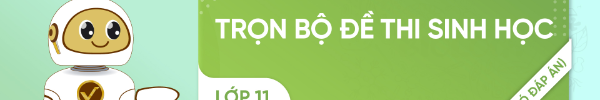 VitanEdu