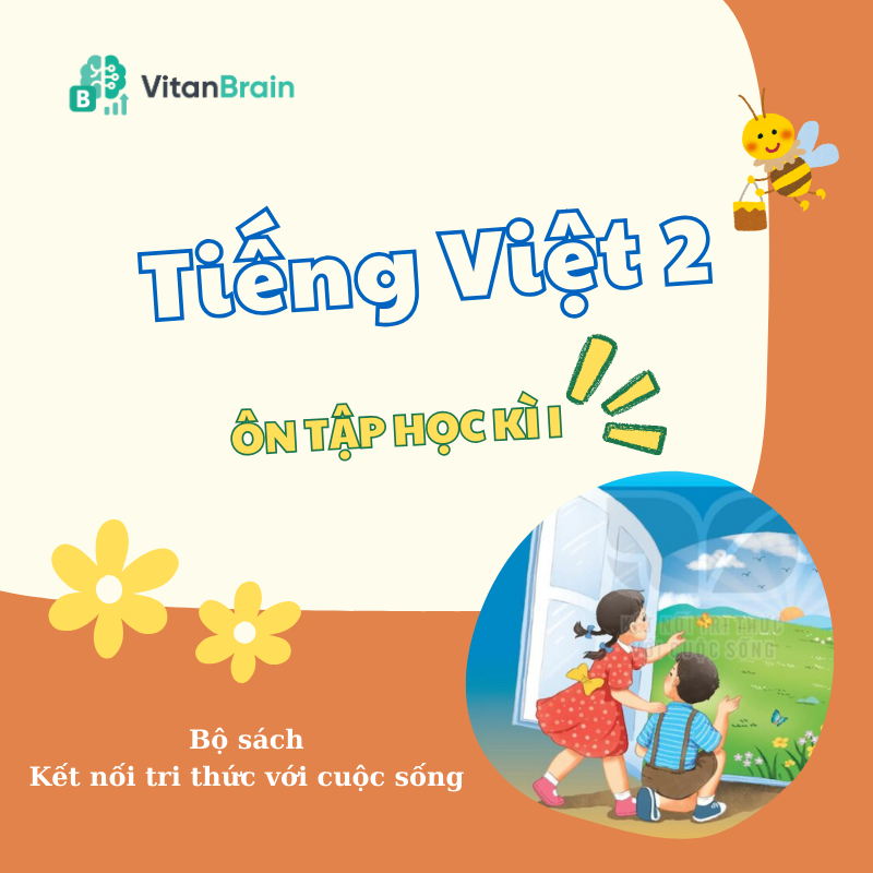 VitanEdu