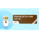 VitanEdu