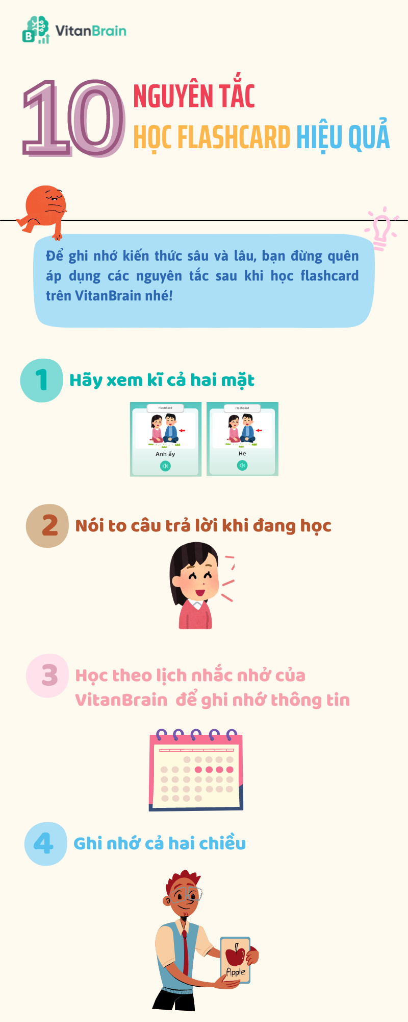 10 nguyên tắc học flashcard cùng VitanBrain - Ảnh 1