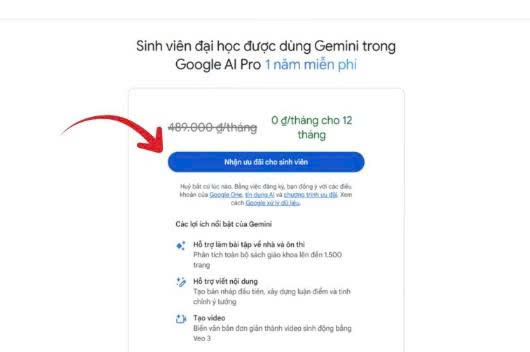 Hướng dẫn cách đăng ký Google Gemini Pro miễn phí cho sinh viên - Ảnh 9