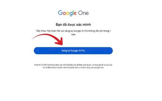 Hướng dẫn cách đăng ký Google Gemini Pro miễn phí cho sinh viên - Ảnh 8