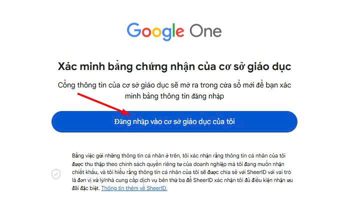 Hướng dẫn cách đăng ký Google Gemini Pro miễn phí cho sinh viên - Ảnh 5
