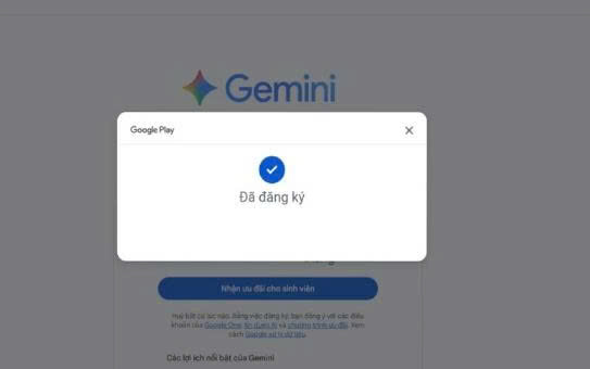 Hướng dẫn cách đăng ký Google Gemini Pro miễn phí cho sinh viên - Ảnh 12