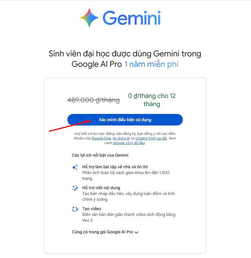 Hướng dẫn cách đăng ký Google Gemini Pro miễn phí cho sinh viên - Ảnh 3