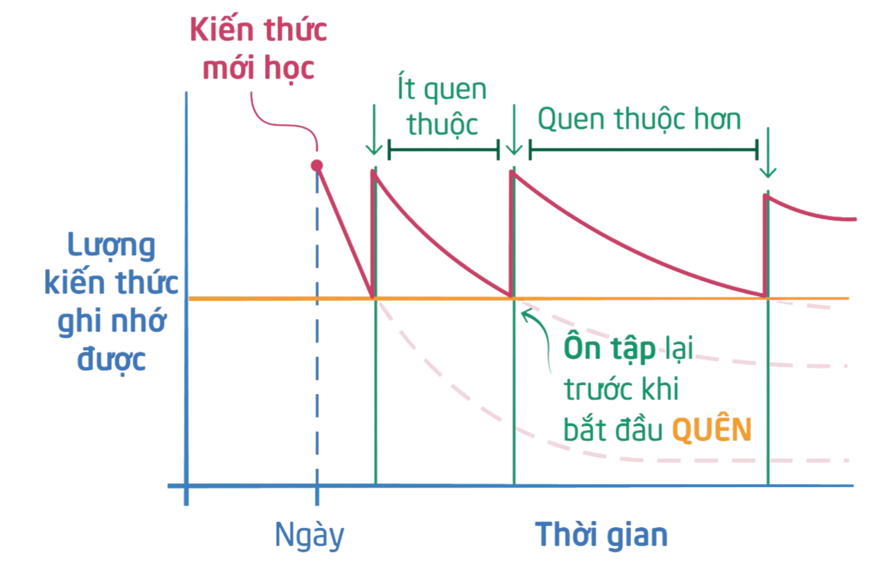 Học trước - quên sau: Làm thế nào để khắc phục? - Ảnh 6