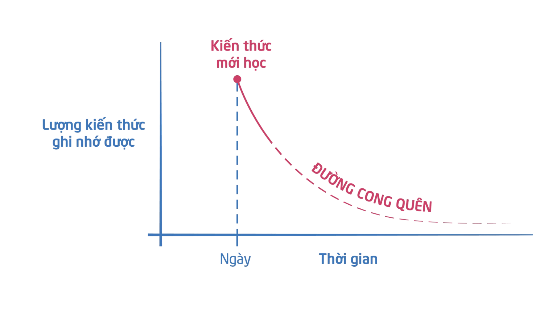 Học trước - quên sau: Làm thế nào để khắc phục? - Ảnh 1